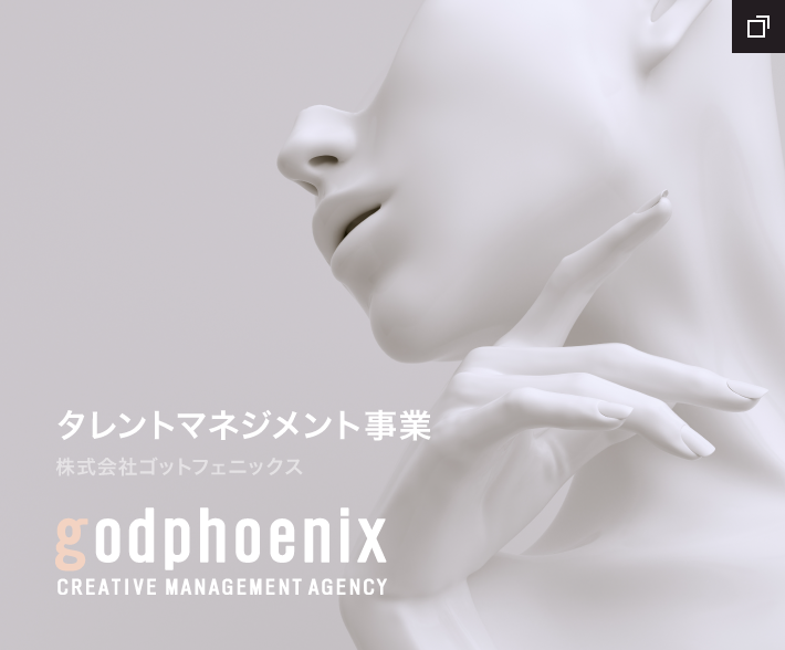 タレントマネジメント事業 - godphoenix